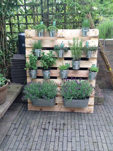 Mount pallets on a wall to store and organize garden tools. Easy access and neat organization. Relevant Hashtags Here are some hashtags to use when sharing your pallet gardening projects on social media:  #PalletGardening #UpcycledGarden #DIYGarden #GardeningWithPallets #SustainableGardening #UrbanGardening #VerticalGarden #RaisedBeds #GardenDIY #CompostBin #RecycledMaterials #GardenInspiration #EcoFriendly #GreenLiving #GardeningHacks Balcony Herb Gardens, Pallet Gardening, Moderne Have, Herb Garden Pallet, Apartment Balcony Garden, Small Balcony Garden, Herb Garden Design, Home Apartment, Pallet Garden