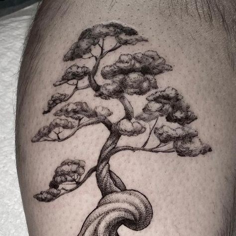 P.MINU on Instagram: "🐢 🌲 Thank you for coming back:) . . #turtletattoo #treetattoo #dotart #blackworktattoo #blackworktattoos #blackworkerssubmission #blacktattoo #adelaidetattoos #adelaidetattoo #melbournetattoo #dotshading" Bonsai Sketch, Bonsai Tree Tattoo, Bonsai Tattoo, Bonsai Tree Tattoos, Tree Tattoo Arm, Tree Tattoo Small, Tree Tattoos, Tree Tattoo Designs, Cherry Blossom Tattoo