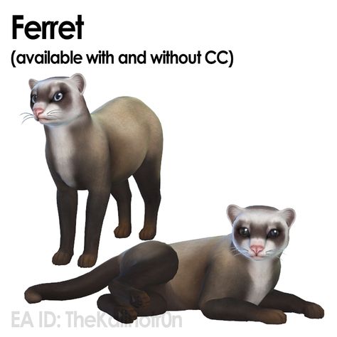 TheKalino on Instagram: “New Animals! 🐾 Ferret (cc): simfileshare.net/download/48674… Ferret (without cc): simfileshare.net/download/48673… Aardwolf:…” Sims 4 Pets Mod, Sims Collection, The Sims 3 Pets, Sims Pets, Sims 4 Challenges, The Sims 4 Skin, Sims Packs, The Sims 4 Packs, Sims 4 Game Mods