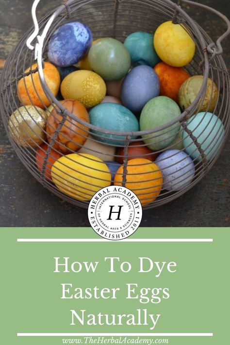 How To Dye Easter Eggs Naturally | Herbal Academy | Chemical dyes are not the only option when decorating Easter eggs. Here's how to use herbs and common food to dye Easter eggs naturally! Natural Dyed Easter Eggs Diy, Natural Dyed Eggs, Natural Dyes For Easter Eggs, Natural Food Dye For Eggs, How To Dye Eggs, Natural Ways To Dye Easter Eggs, Natural Egg Dye, Decorating Easter Eggs, Dye Eggs