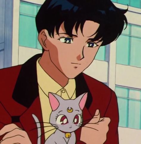 Tuxedo Man Sailor Moon, Tuxedo Mask Aesthetic, Tuxedo Mask Icon, Mamoru Sailor Moon, Sailor Moon Mamoru, Darien Sailor Moon, Sailor Moon Characters, Sailor Moon Funny, Mamoru Chiba