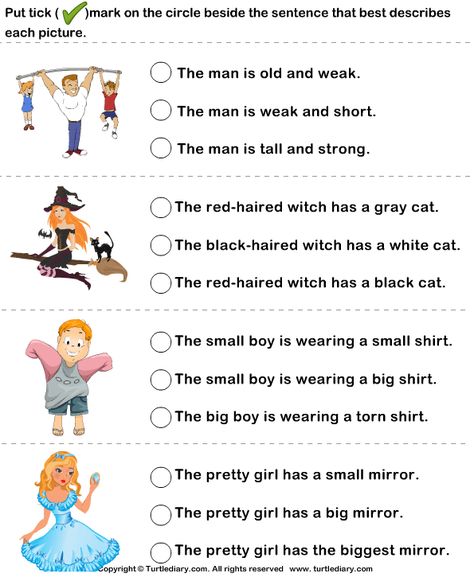 Choose a sentence to describe the picture - TurtleDiary.com Describing Pictures Worksheet, Sentence Comprehension, Describe The Picture, Describing Pictures, Daily Oral Language, Speak Confidently, Goal Settings, Advance English, Ela Worksheets