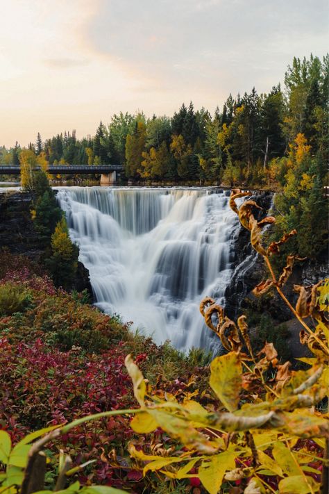 Kakabeka Falls, the “Niagara of the North,” during golden hour🌅🍁. #waterfallwednesday #chasingwaterfalls #fallcolours #canoneosrp #canada | livharvey-97 Northern Ontario, Thunder Bay, Believe Me, Video Editor, Natural Wonders, In Summer, Golden Hour, I Said, Ontario