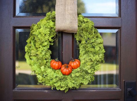 Exterior Planter, Wreath Workshop, Art Wreath, Living Wreath, Moss Wreath, Moss Wall Art, Animal Planters, Patio Planters, Face Planters