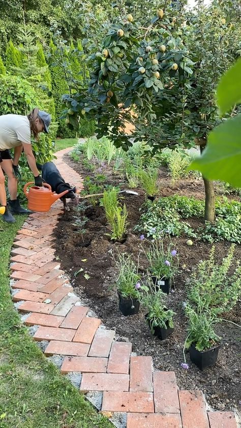 Natalia | And just like that brick pathway became part of the garden ✨ #garden #gardendiy #gardening #gardenjobs #brick #brickpathway #orchard… | Instagram Brick Landscaping, Brick Pathway, Brick Path, Brick Garden, And Just Like That, Diy Garden, Green, Instagram