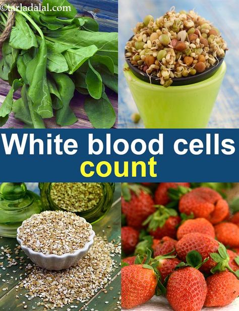 White Blood Cells Increase, Bible Food, Low White Blood Cells, White Blood Cell, White Blood, Iron Rich Foods, Ketogenic Diet Plan, White Blood Cells, Meal Suggestions