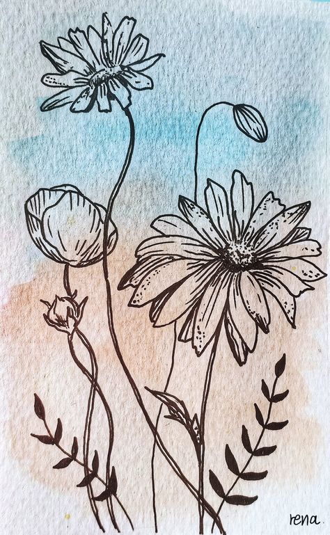 Fine Line Drawing Flowers, Fine Liner Flowers, Fine Line Sketches, Fine Line Drawing Ideas, Fine Line Flowers, Line Drawn Flowers, Pretty Flower Drawing, Flowers Drawn, Flower Line Drawing