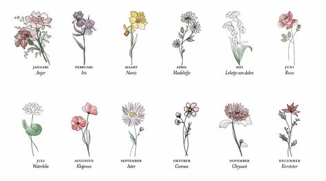 Geboortebloemen per maand Watercolor Tattoo Flower, Flower Tattoo Arm, Birth Flower Tattoos, Dainty Tattoos, Tattoos For Daughters, Month Flowers, Tattoos For Kids, Birth Month Flowers, First Tattoo