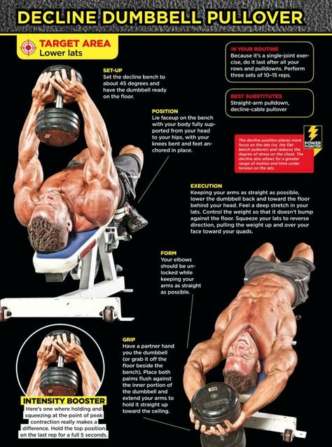 Decline Dumbell Pullover. Dumbell Pullover, Dumbbell Pullover, Chest Exercises, Lord Mahadev, Weight Training Workouts, Chest Workouts, Chest Workout, Fit Board Workouts, Dumbbell Workout