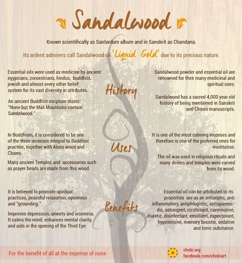 Spirituality Meditation, Sandalwood Powder, Magickal Herbs, Sacred Plant, Sandalwood Incense, Info Graphics, Sandalwood Oil, Practical Magic, Healing Herbs