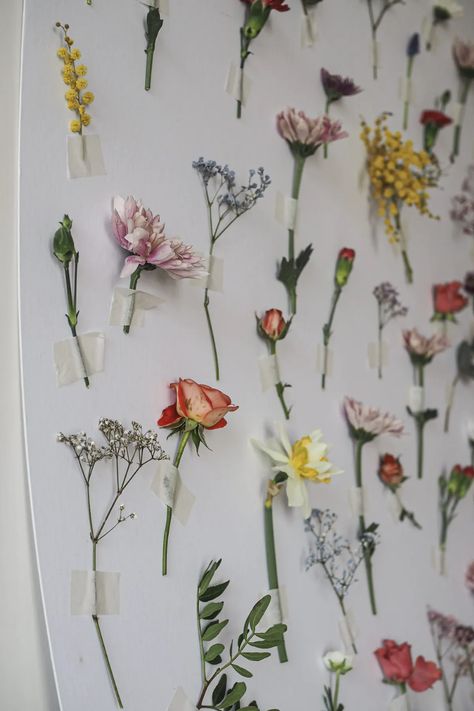 How to create a homemade flower wall Hanging Garden Ideas, Dried Flower Wall, Night Blooming Flowers, Spring Party Decorations, Mother's Day Theme, Temporary Decorating, Beautiful Wall Hanging, Hand Painted Candles, Wedding Venue Decorations