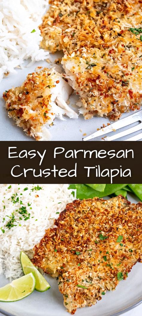 Tilapia Recipes Easy, Parmesan Crusted Tilapia, Crusted Tilapia, Baked Tilapia, Fish Dinner Recipes, Tilapia Recipes, Fish Recipes Healthy, Parmesan Crusted, Fish Dinner