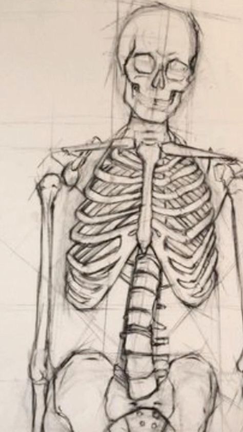 Skeleton Face Reference, Skeleton Face Sketch, Drawing Of Body Image, Skeleton With Heart, Bones Drawing, Drawing Skeleton, Heart Skeleton, Skeleton Face, Skeleton Drawings