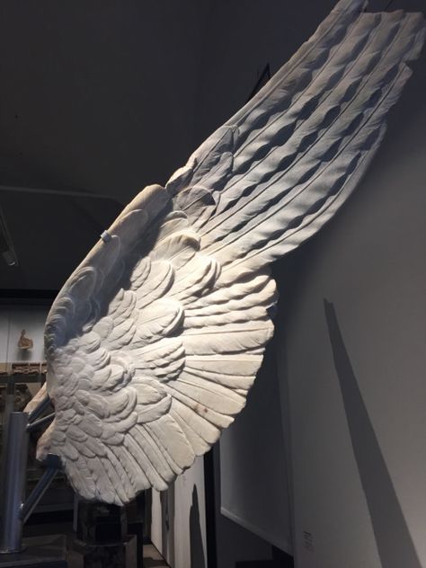 sgtpeppersofab: Marble wings, Palatine Museum. Wing Statue, Wings Reference, Wing Sculpture, Vizsla Art, Birds Sculpture, Sculpture Angel, Ancient Roman Art, Classic Sculpture, Wings Art