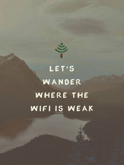 Quotes Adventure, A Quote, The Words, Quotes, Travel, Nature