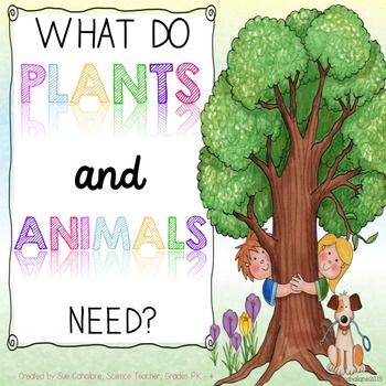 Interdependent Relationships, Ngss Kindergarten, Plants Kindergarten, Ngss Science, Plants Unit, Human Animal, 1st Grade Science, First Grade Science, Plant Science