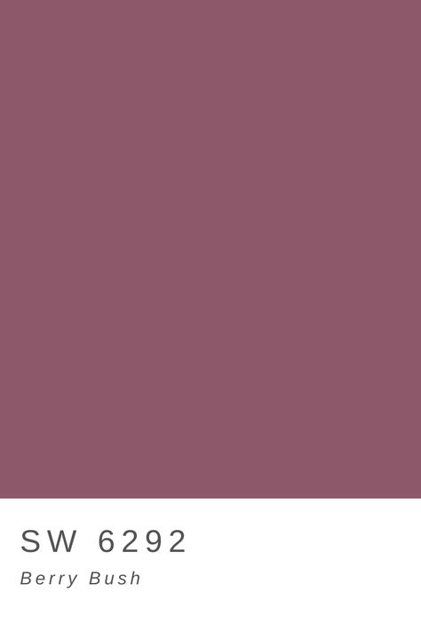 Berry Bush Sherwin Williams, Berry Paint Color, Mauve Kitchen, Mauve Bedroom, Blackberry Color, Zyla Colors, Room Color Combination, Redo Cabinets, Pantone Colour Palettes