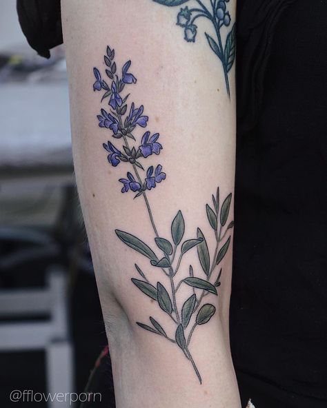 Sage for Margot🌿 done in Madrid #tattoo #tattoos #plants #flowers #botanical #botanicaltattoos #flowertattoos Sage Tattoo Ideas, Olga Nekrasova, Sage Tattoo, Tattoos Plants, Watercolour Tattoo Men, Single Rose Tattoos, Madrid Tattoo, Rose Flower Tattoos, Cat Tattoo Small