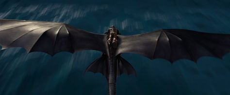 lighting/texture reference Toothless Flying, Httyd Art, Toothless Dragon, My Little Pony Poster, Hiccup And Toothless, Dreamworks Dragons, I Love Cinema, Dragon Trainer, Dragon 2