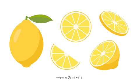 Lemon Slices Drawing, Lemon Slice Illustration, Lemon Slice Drawing, Lemon Vector, Lemon Graphic, Lemon Illustration, Embroidery Journal, Logo Reference, Diner Menu