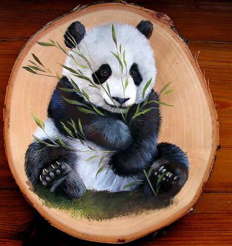 Drawing Panda, Snowflake Making, Panda Artwork, Panda Painting, Panda Drawing, Drawing Realistic, Painted Rock Animals, Panda Art, Wood Painting Art