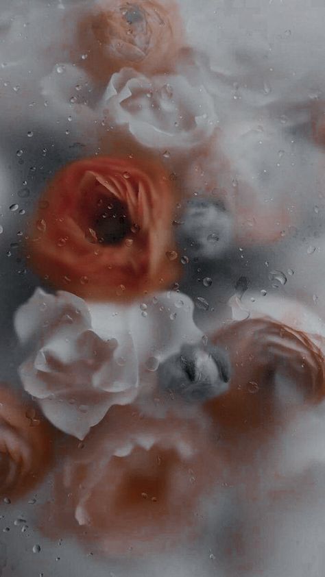 Flowers Under Glass Wallpaper, Sketching Background, Rain Photos, Feminine Home Decor, Flower Desktop Wallpaper, Wet Flowers, Feminine Home, Plain Wallpaper Iphone, Modern Florals