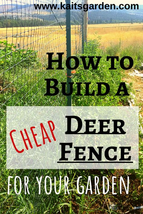 Vegetable Garden Fence Ideas Cheap, Deer Resistant Garden Fence, Diy Garden Fence Cheap Simple, Deer Fence Ideas, Simple Garden Fence, Cheap Garden Fencing, Diy Homesteading, Fenced Garden, Homestead Lifestyle