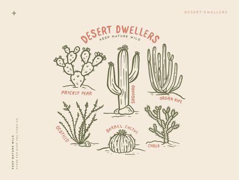 Desert Tattoo, Arizona Tattoo, Cactus Tattoo, Cactus Drawing, Cactus Illustration, Fiverr Logo, Visual Poetry, Professional Logo Design, Bullet Journal Inspiration