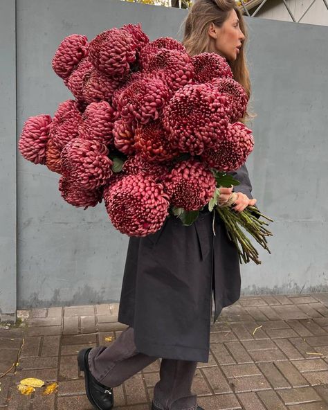 نباتات منزلية, Boquette Flowers, Nothing But Flowers, Flower Therapy, No Rain, Bunch Of Flowers, Arte Floral, Flower Farm, Beautiful Life