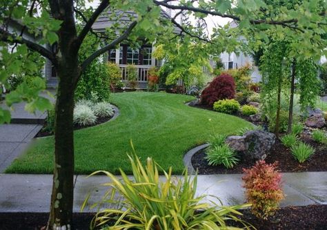 landscape berms | front yard Landscape Portfolio, Succulent Landscaping, Yard Landscape, Front Landscaping, Garden Shrubs, Home Landscaping, Front Yard Garden, Landscaping Tips, Art Garden