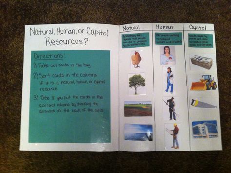 This is an economics work job for 1st grade called "Natural, Human, or Capital Resources?" Students sort the cards into the columns if it is a natural, human, or capital resource. They can self-check by checking the answers on the back of the cards. This can be used as an extension activity and when learning about resources and how producers use these resources. Economics Activities, Elementary Economics, Teaching Classroom Procedures, Financial Literacy Worksheets, Third Grade Lesson Plans, Capital Resources, Teaching Economics, Family Tree Worksheet, Financial Literacy Lessons