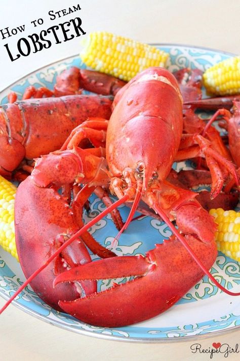 Steamed Lobster How To Cook, Cook Lobster, Lobster Recipe, Steamed Lobster, How To Cook Lobster, Crab And Lobster, Breakfast And Brunch, Lobster Recipes, Recipe Girl