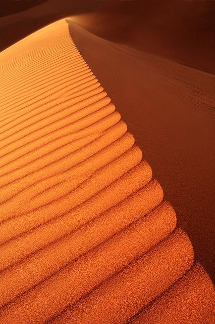 The top of an sand dune in Morocco #morocco #sahara #desert Maroc Désert Expérience tours http://www.marocdesertexperience.com Desert Sahara, Deserts Of The World, Desert Colors, Orange You Glad, Orange Aesthetic, Desert Landscaping, In The Desert, Sand Dunes, Shades Of Orange