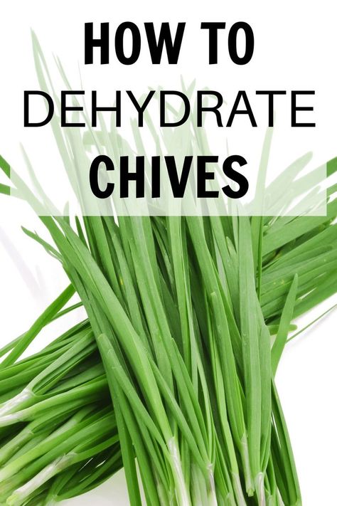 fresh chives Dehydrate Chives, Dried Fruit Recipe, Drying Fresh Herbs, Chives Recipe, Diy Spices, Garden Animals, Dehydrated Food, Fresh Chives, Dehydrator Recipes