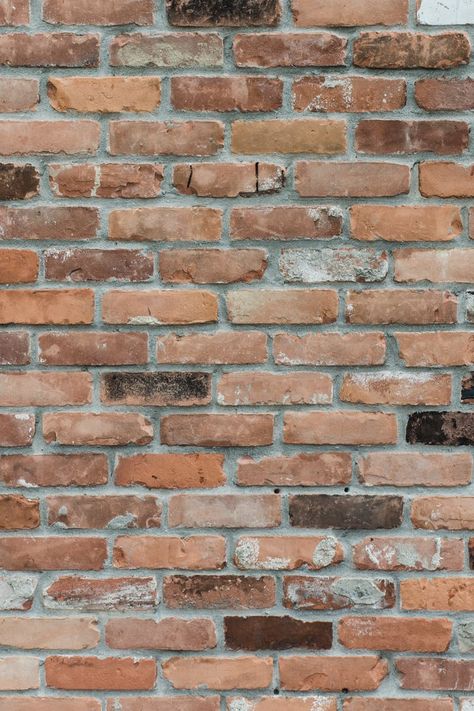 Brown Brick Wall Close-up Photography · Free Stock Photo Brown Brick Wall, Dark Wood Wallpaper, Bricks Wall, New Mexico Homes, Red Brick Wall, Brown Brick, Close Up Photography, Fairy Garden Accessories, Paving Stones