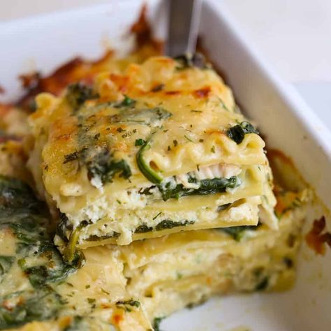 Creamy Chicken Lasagna, White Chicken Lasagna, Chicken Lasagna Recipe, White Lasagna, Small Town Woman, White Sauce Recipes, Lasagna Ingredients, Lasagna Recipes, Chicken Lasagna