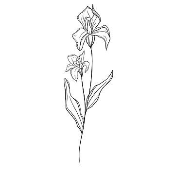 "February Birth Month Flower | Iris" Sticker for Sale by ekwdesigns | Redbubble Irises Flowers Tattoo, Iris Birth Flower Tattoo, Iris Flowers Drawing Easy, Fine Line Iris Tattoo, Mum Tattoos, Primrose Tattoo, February Flower Tattoo, February Birth Month Flower, Iris Flower Tattoo