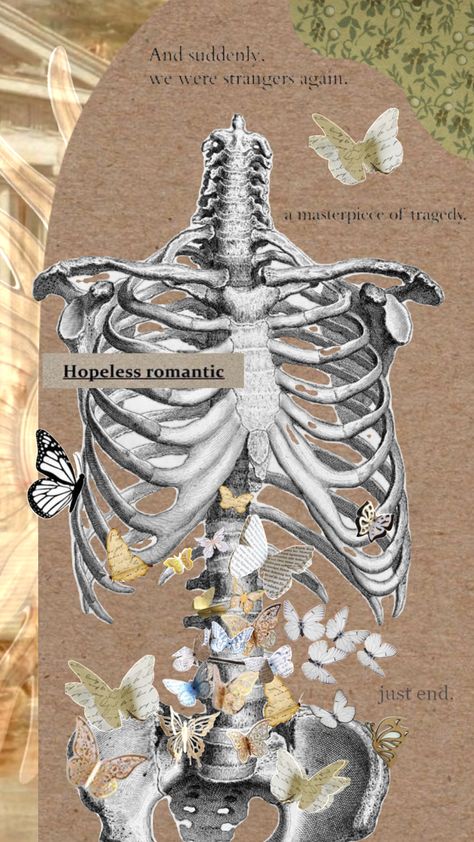 Stomach Drawing, Lily Wallpaper, Scratchboard Art, Butterflies In My Stomach, Gcse Art Sketchbook, Tarot Cards Art, Butterfly Drawing, Butterfly Painting, Ink Illustrations