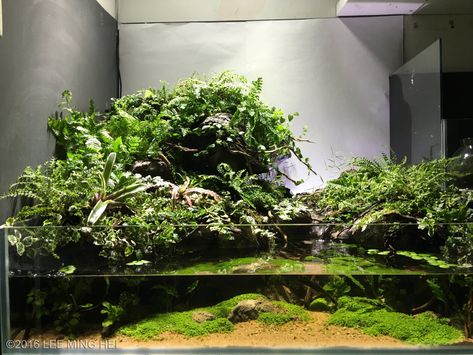 AGA 2016 Aquascaping Contest: #404 River Aquarium, Axolotl Tank, Frog Terrarium, Aqua Tank, Fish Tank Terrarium, Aquascape Design, Tropical Fish Tanks, Indoor Water Garden, Terrarium Ideas