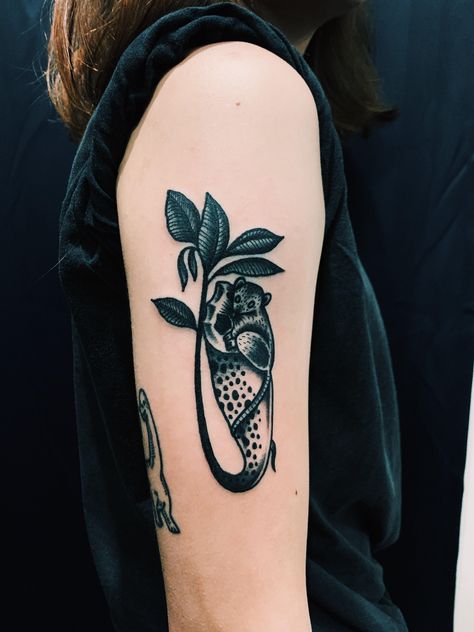 Pitcher Plant Tattoo, Carnivorous Plant Tattoo, Plant Tattoo Ideas, Witchcraft Tattoos, Tattoo Mandala, Bat Tattoo, Plant Tattoo, R Tattoo, Pitcher Plant