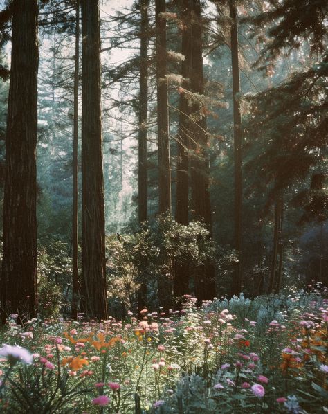 What in the folklore!? Wandering through a fairytale, where every bloom tells its own story. #EnchantedWoods #folklore #evermore Old Folklore Aesthetic, Irish Folklore Aesthetic, Folklore Summer Aesthetic, Eretheal Aesthetic, Folklore Woods, Folklore Evermore Aesthetic, Selkie Story, Folklore Moodboard, In The Woods Aesthetic