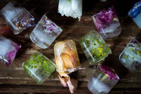 Frozen Flowers in Ice Cubes on Rustic Wooden Background by Manuta. Frozen Flowers in Ice Cubes on Rustic Wooden Background, space for text #AD #Cubes, #Rustic, #Ice, #Frozen Plant Wedding Shower Theme, Indoor Garden Bridal Shower Ideas, Fairy Bridal Shower Theme, Bridal Shower Themes Garden Party, Bridal Shower Nature Theme, Trending Bridal Shower Themes, Enchanted Garden Bridal Shower Theme, Garden Bridal Shower Ideas Decor, Bridal Shower Plant Theme