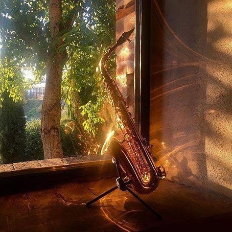 Yanagisawa Sax UK and Ireland on Instagram: “Yes! Beautiful shot of an A991 Alto!  #picoftheday #photooftheday #yanagisawa #yanagisawasax #altosax . . #Repost @theojobstsaxophone” Alto Saxophone Aesthetic, Saxophone Aesthetic, Pretty Instruments, Blasting Music, Band Aesthetic, Saxophones, Alto Sax, Jazz Band, Band Memes