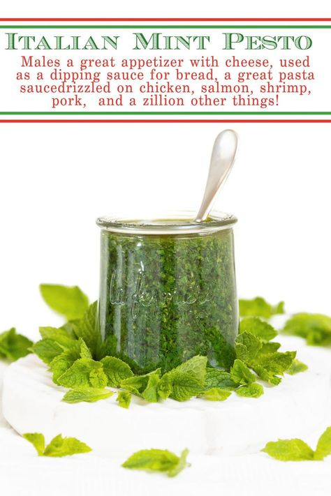 Dipping Sauce For Bread, Mint Pesto Recipe, Mint Pesto, Delicious Salad Dressings, Mint Sauce, Pesto Recipe, Pesto Sauce, Garden Recipes, Great Appetizers