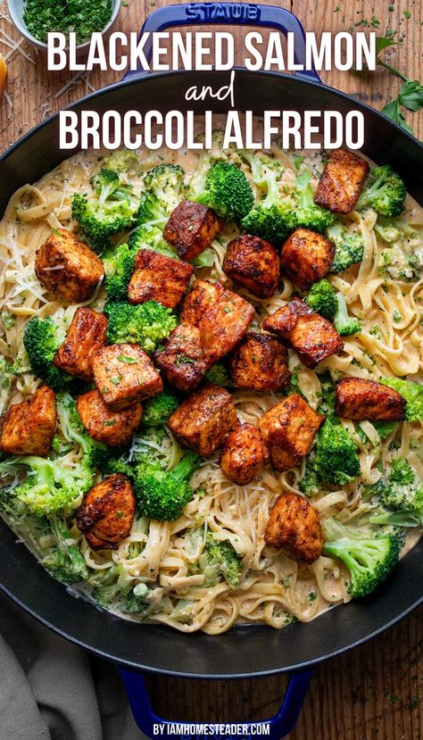 A black and blue skillet is filled with blackened salmon and broccoli alfredo. next to it on the wooden countertop is a tea towel and small cup of chopped parsley. Salmon Brocolli Pasta, Creamy Fettucini Alfredo, Salmon And Broccoli Recipes, Salmon Broccoli Pasta, Salmon And Broccoli Pasta, Broccoli Alfredo Pasta, Salmon Broccoli, Seasoned Salmon, Fettucini Alfredo