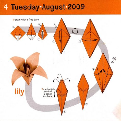 Lily Spider Lily Origami Tutorial, Note Origami, Origami Lily, Origami Flowers Tutorial, Paper Flower Wall Hanging, Diy Paper Butterfly, Origami Tutorials, Wall Hanging Ideas, Creative Origami