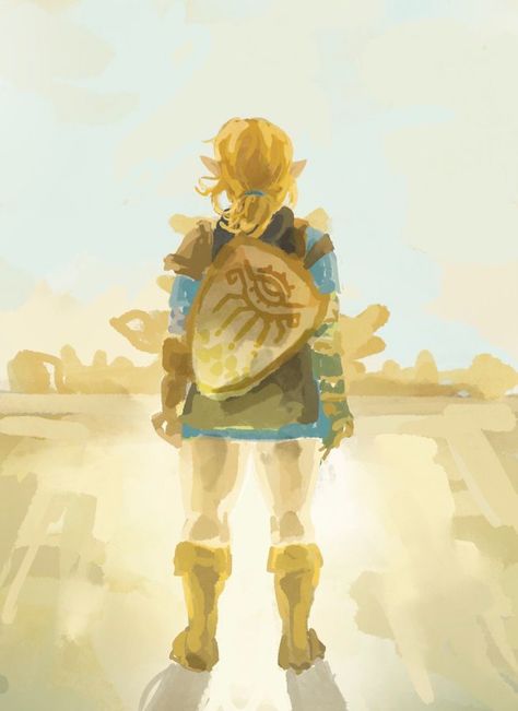 Link Botw, Botw Zelda, Link Art, Link Zelda, Nintendo Art, Zelda Art, Legend Of Zelda Breath, Zelda Breath, Twilight Princess