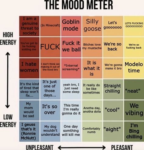 Mood Meter, Mood Chart, Vie Motivation, Mental And Emotional Health, Text Posts, What’s Going On, Funny Me, Emotional Health, Tumblr Funny