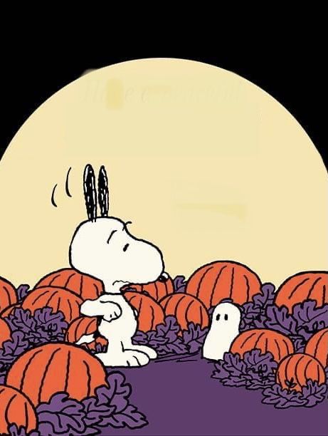 Snoopy Fall Pfp, Snoopy Ghost, Peanuts Aesthetic, Snoopy Halloween Wallpaper, Charlie Brown Movie, Nostalgic Halloween, Halloween Snoopy, Peanuts Wallpaper, Great Pumpkin Charlie Brown