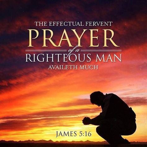 "The effectual fervent prayer of a righteous man availeth much." ~ James 5:16 Prayers Of The Righteous, The Effectual Fervent Prayer, Prayer Partner, Fervent Prayer, Pray For America, Beautiful Scripture, Prayer Scriptures, Bible Truth, Power Of Prayer